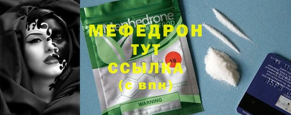 индика Дмитровск