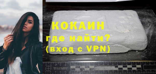 тгк Дмитриев