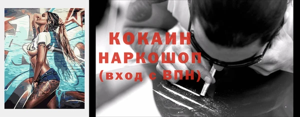 твердый Дмитров