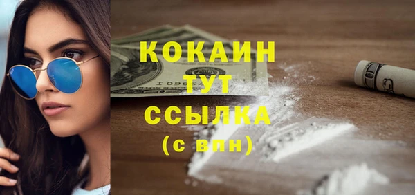 твердый Дмитров