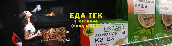 индика Дмитровск