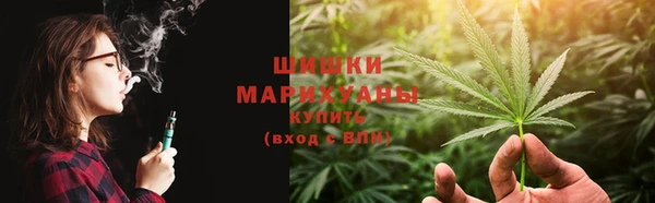 индика Дмитровск