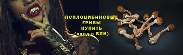 тгк Дмитриев