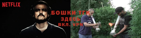 индика Дмитровск