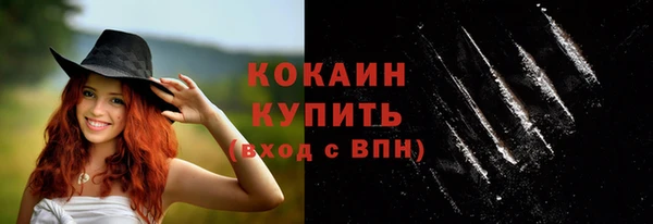 индика Дмитровск