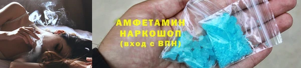 индика Дмитровск