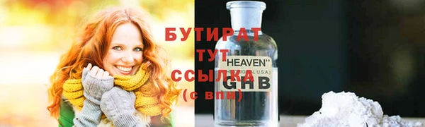 индика Дмитровск