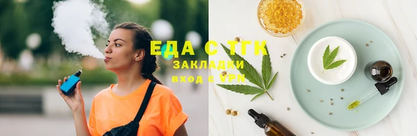 индика Дмитровск