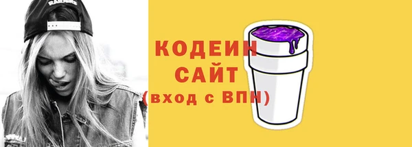 тгк Дмитриев
