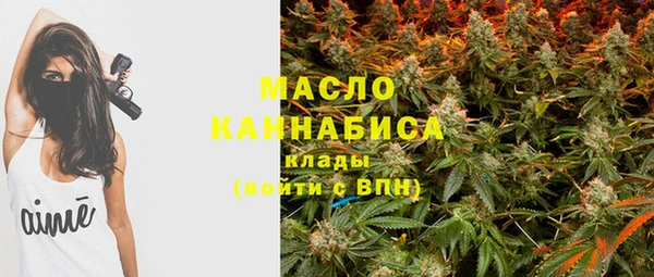 тгк Дмитриев
