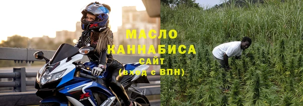 индика Дмитровск