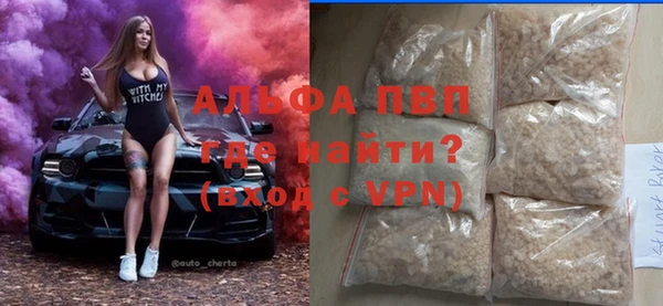 индика Дмитровск
