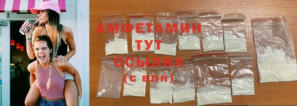 индика Дмитровск