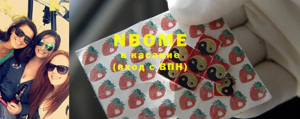 тгк Дмитриев