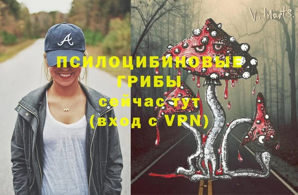 тгк Дмитриев