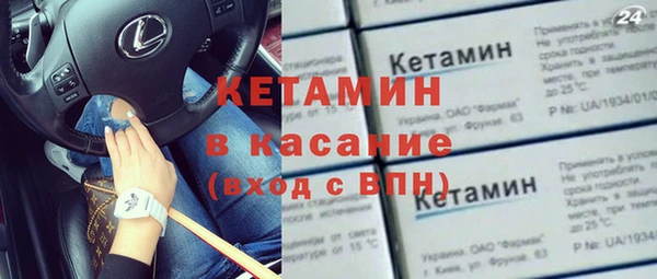 индика Дмитровск